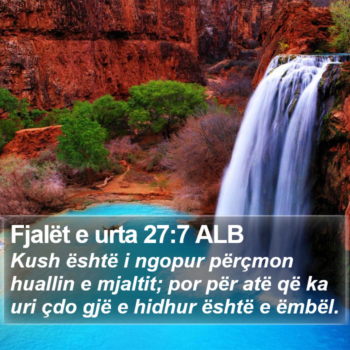 Fjalët e urta 27:7 ALB Bible Study