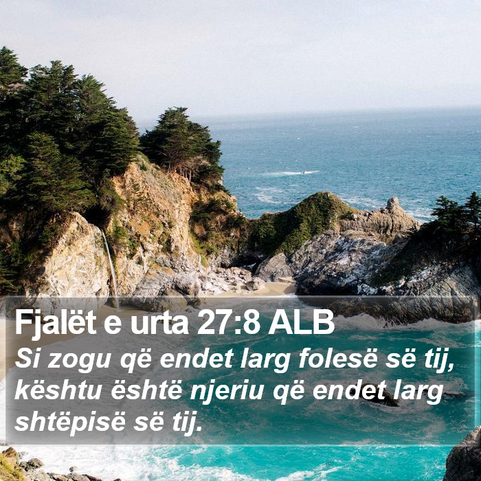 Fjalët e urta 27:8 ALB Bible Study