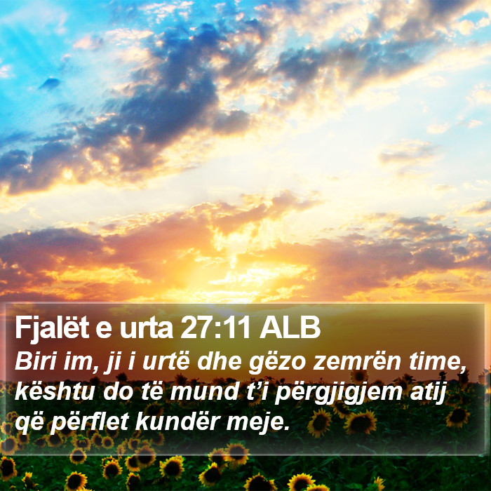 Fjalët e urta 27:11 ALB Bible Study
