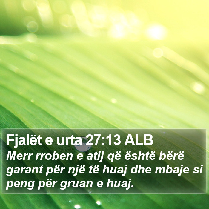 Fjalët e urta 27:13 ALB Bible Study