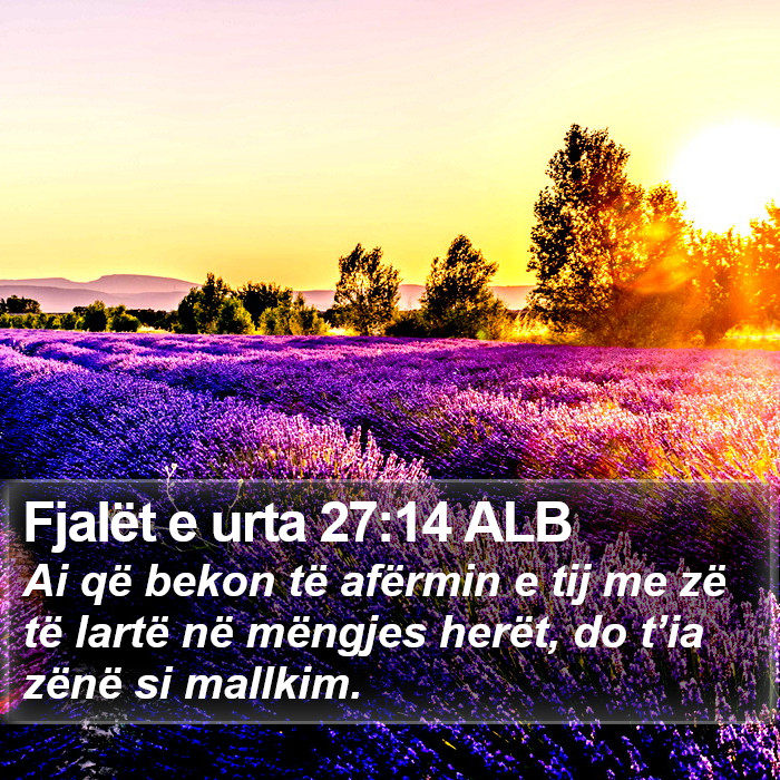 Fjalët e urta 27:14 ALB Bible Study