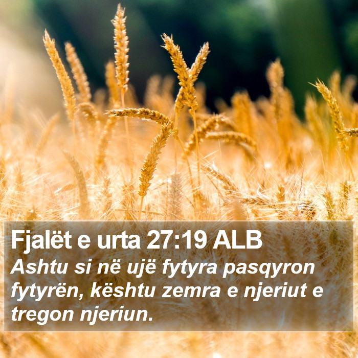 Fjalët e urta 27:19 ALB Bible Study