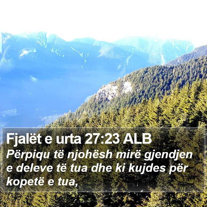 Fjalët e urta 27:23 ALB Bible Study