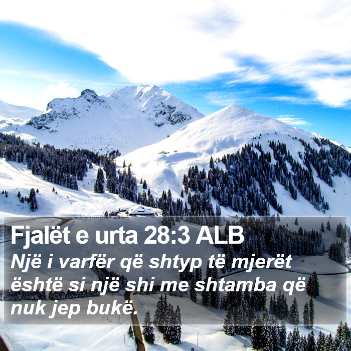 Fjalët e urta 28:3 ALB Bible Study