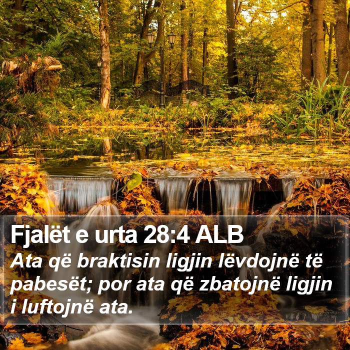 Fjalët e urta 28:4 ALB Bible Study