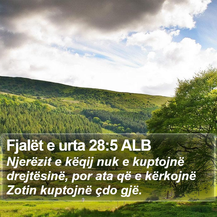 Fjalët e urta 28:5 ALB Bible Study