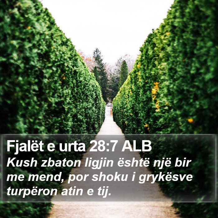 Fjalët e urta 28:7 ALB Bible Study