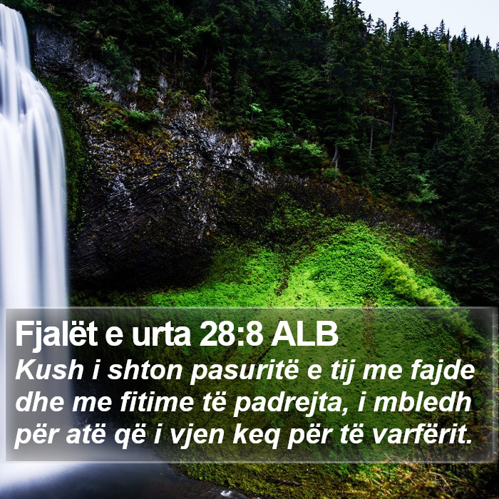 Fjalët e urta 28:8 ALB Bible Study