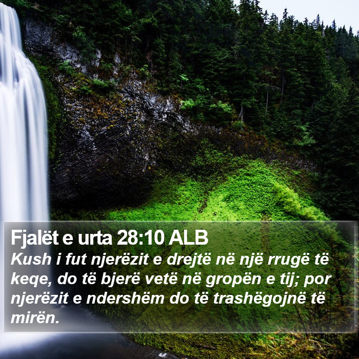 Fjalët e urta 28:10 ALB Bible Study