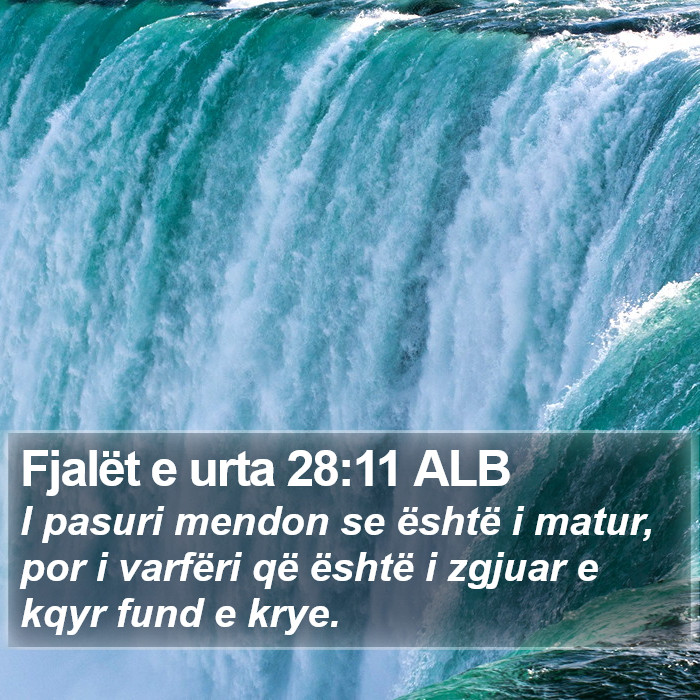 Fjalët e urta 28:11 ALB Bible Study