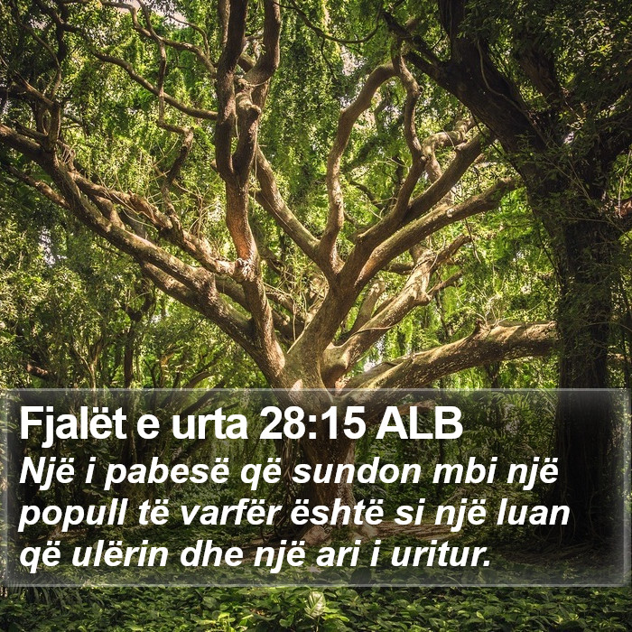 Fjalët e urta 28:15 ALB Bible Study