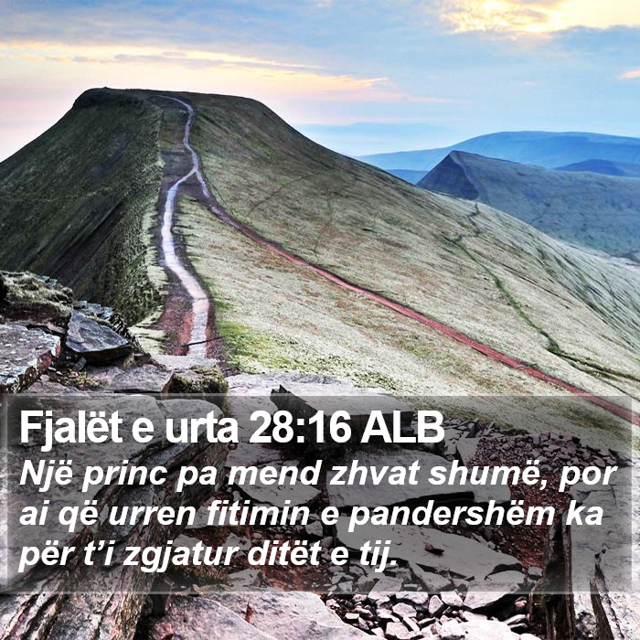 Fjalët e urta 28:16 ALB Bible Study