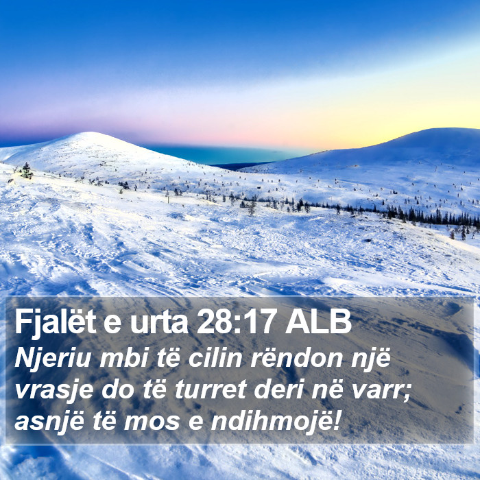Fjalët e urta 28:17 ALB Bible Study
