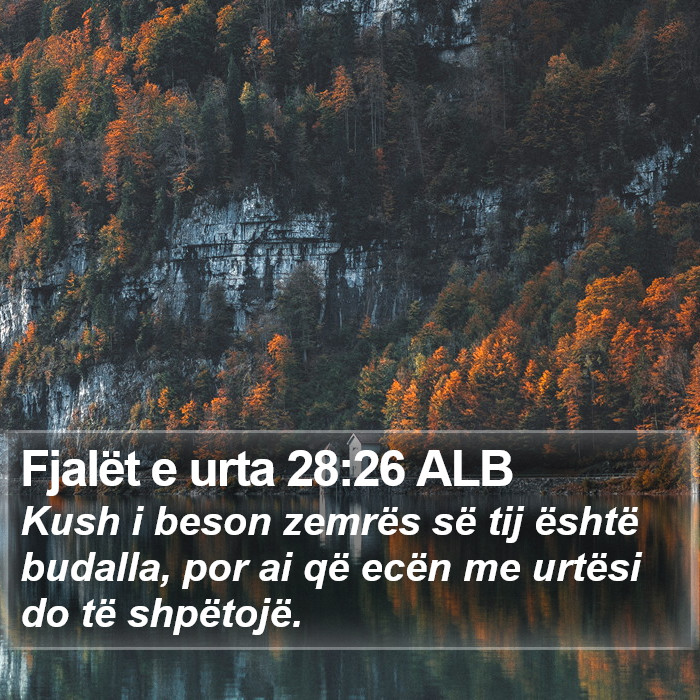 Fjalët e urta 28:26 ALB Bible Study