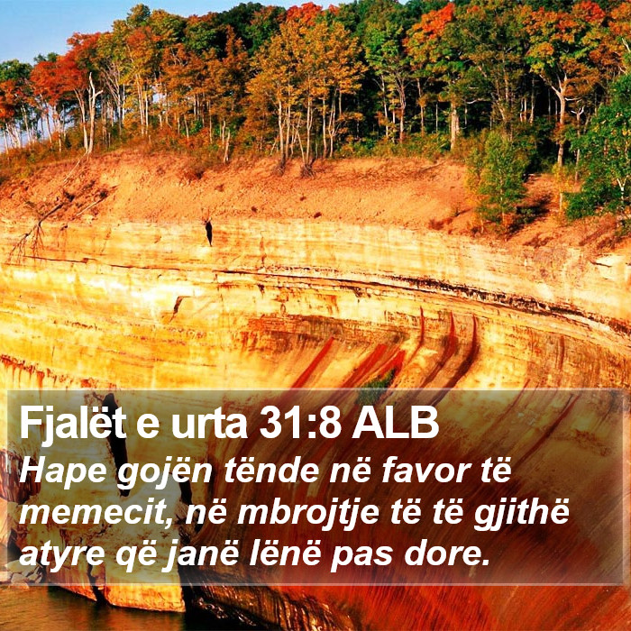 Fjalët e urta 31:8 ALB Bible Study