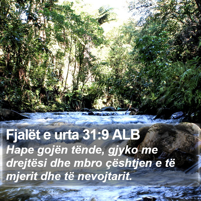 Fjalët e urta 31:9 ALB Bible Study