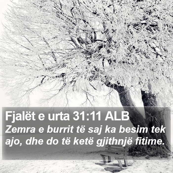 Fjalët e urta 31:11 ALB Bible Study