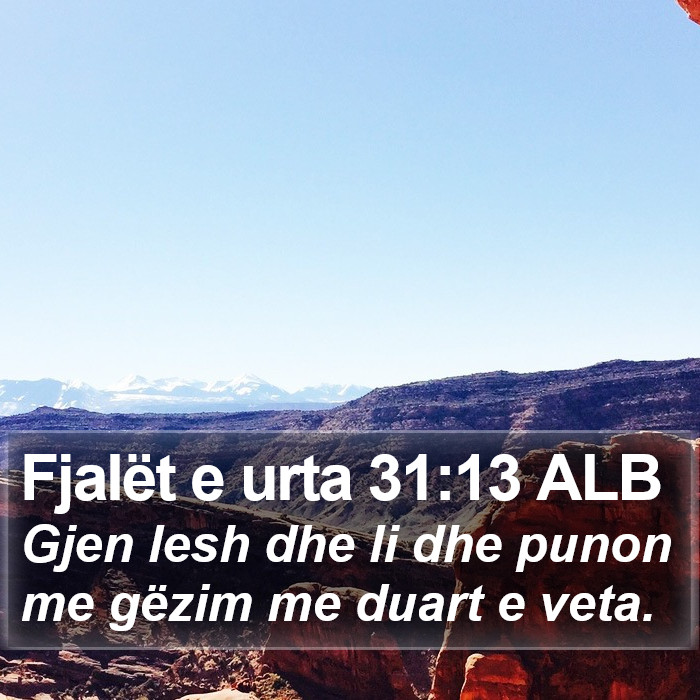 Fjalët e urta 31:13 ALB Bible Study