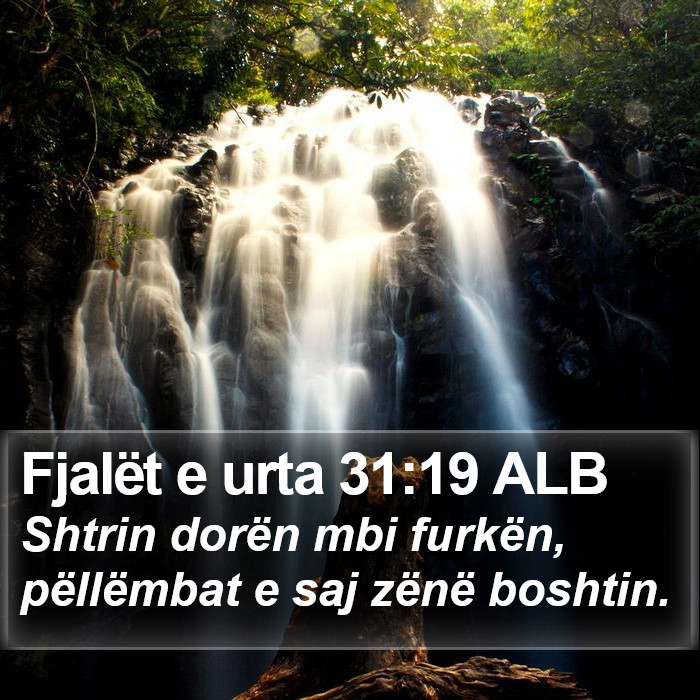 Fjalët e urta 31:19 ALB Bible Study
