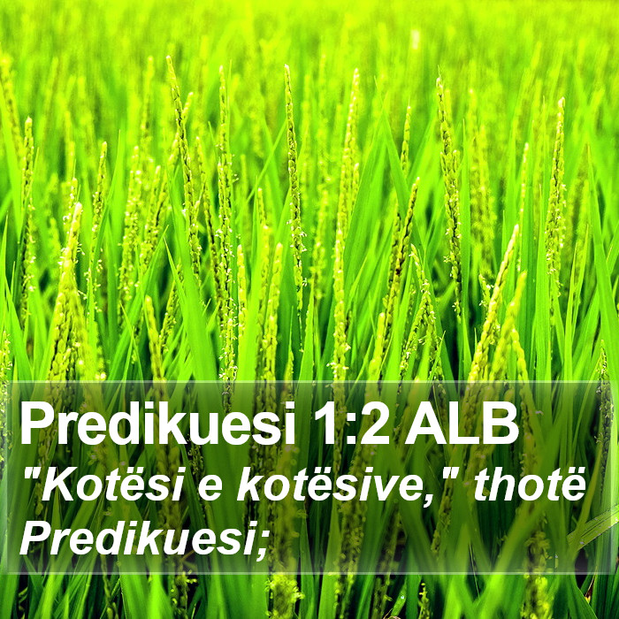 Predikuesi 1:2 ALB Bible Study