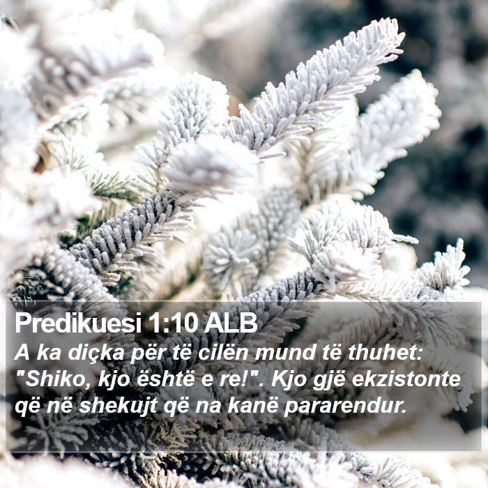 Predikuesi 1:10 ALB Bible Study