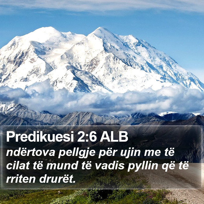 Predikuesi 2:6 ALB Bible Study