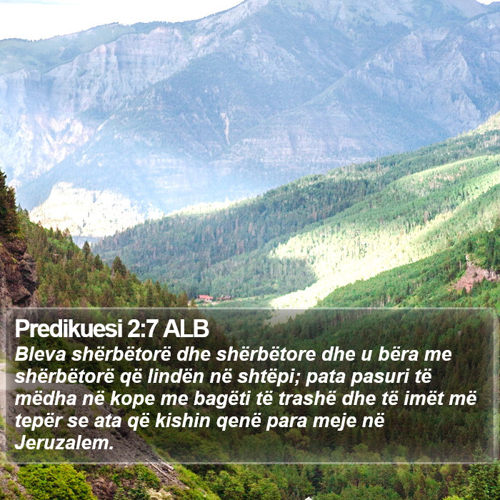 Predikuesi 2:7 ALB Bible Study