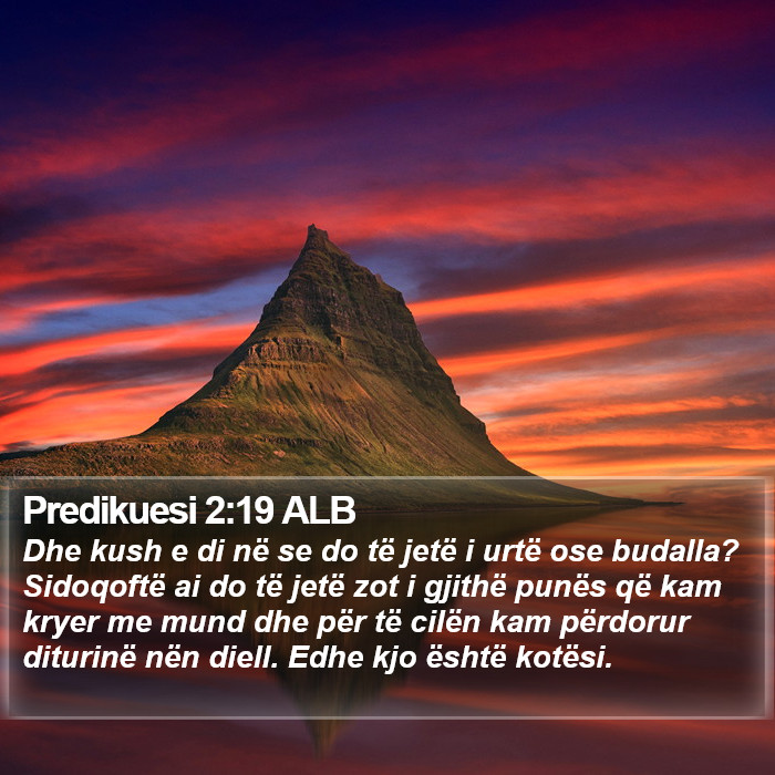 Predikuesi 2:19 ALB Bible Study