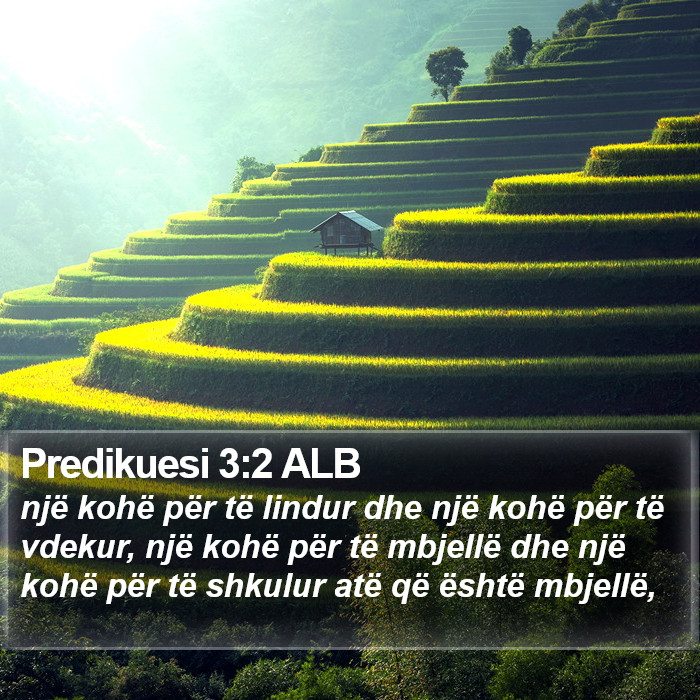 Predikuesi 3:2 ALB Bible Study