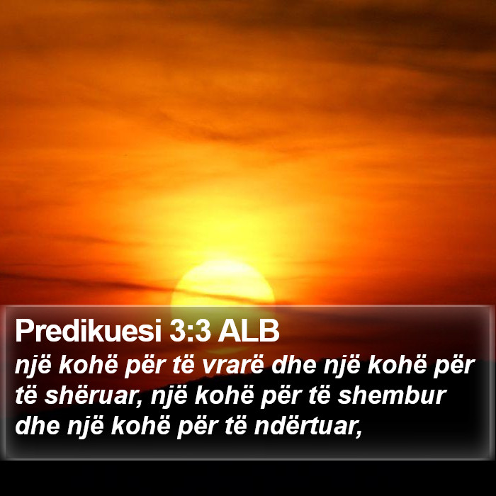 Predikuesi 3:3 ALB Bible Study