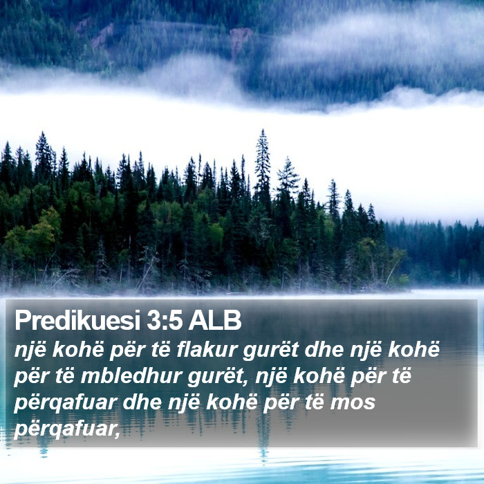 Predikuesi 3:5 ALB Bible Study