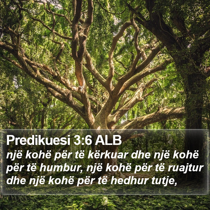 Predikuesi 3:6 ALB Bible Study