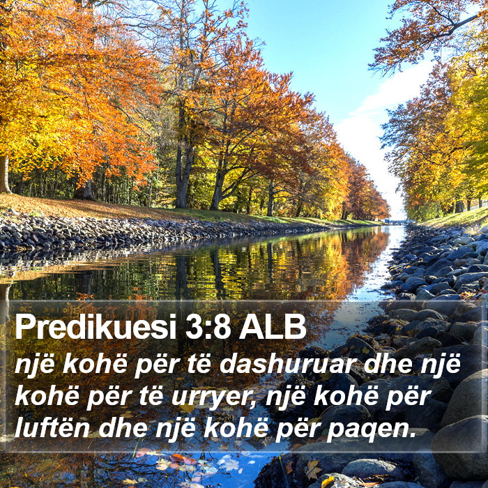 Predikuesi 3:8 ALB Bible Study