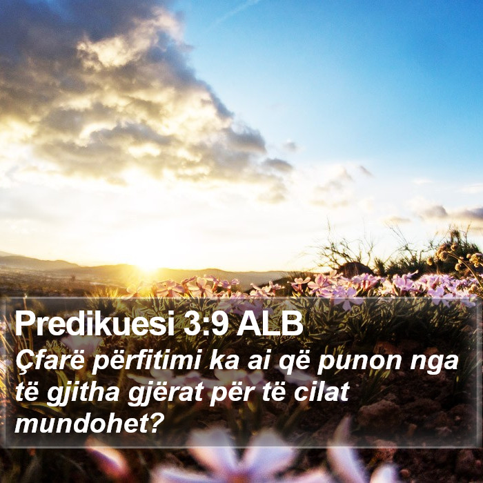 Predikuesi 3:9 ALB Bible Study