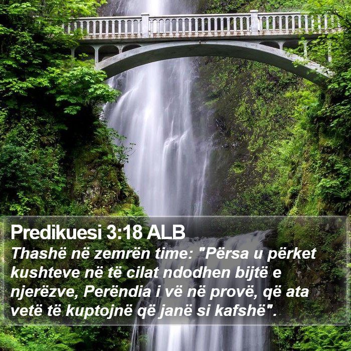 Predikuesi 3:18 ALB Bible Study