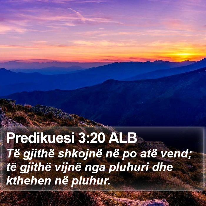 Predikuesi 3:20 ALB Bible Study