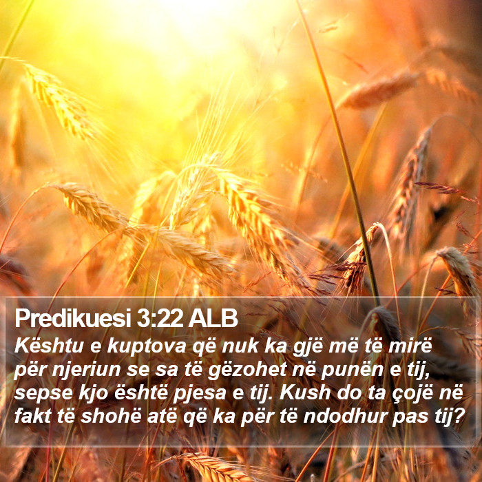 Predikuesi 3:22 ALB Bible Study