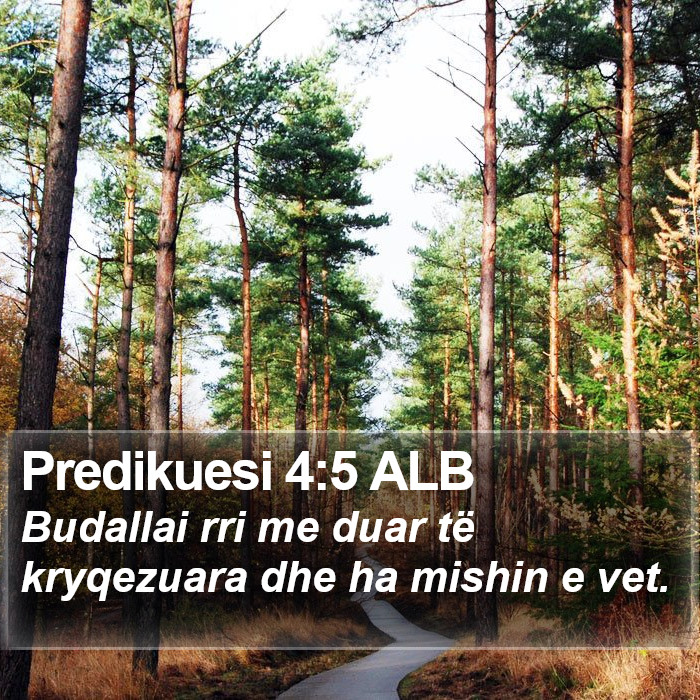 Predikuesi 4:5 ALB Bible Study