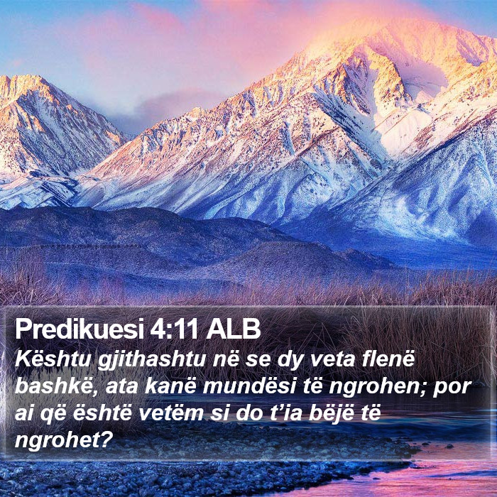 Predikuesi 4:11 ALB Bible Study