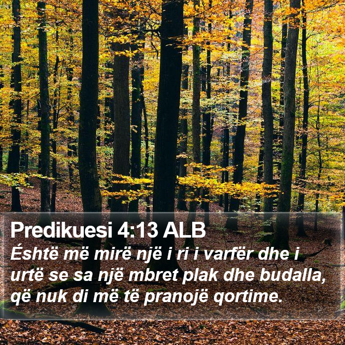Predikuesi 4:13 ALB Bible Study