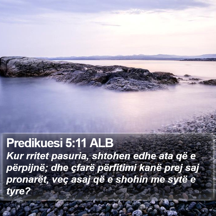 Predikuesi 5:11 ALB Bible Study