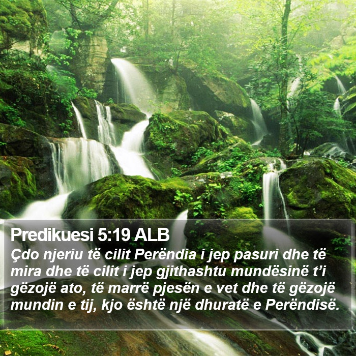 Predikuesi 5:19 ALB Bible Study