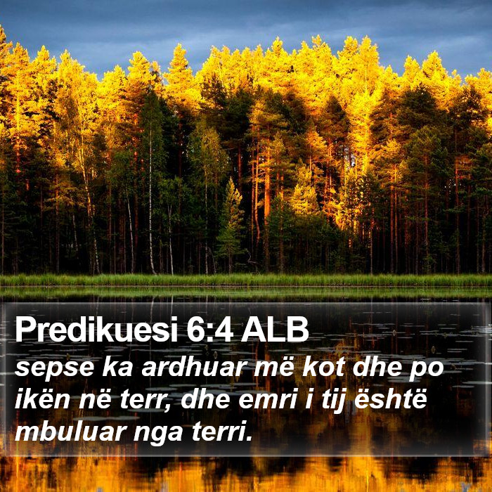 Predikuesi 6:4 ALB Bible Study