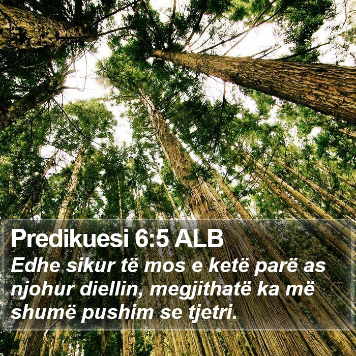 Predikuesi 6:5 ALB Bible Study