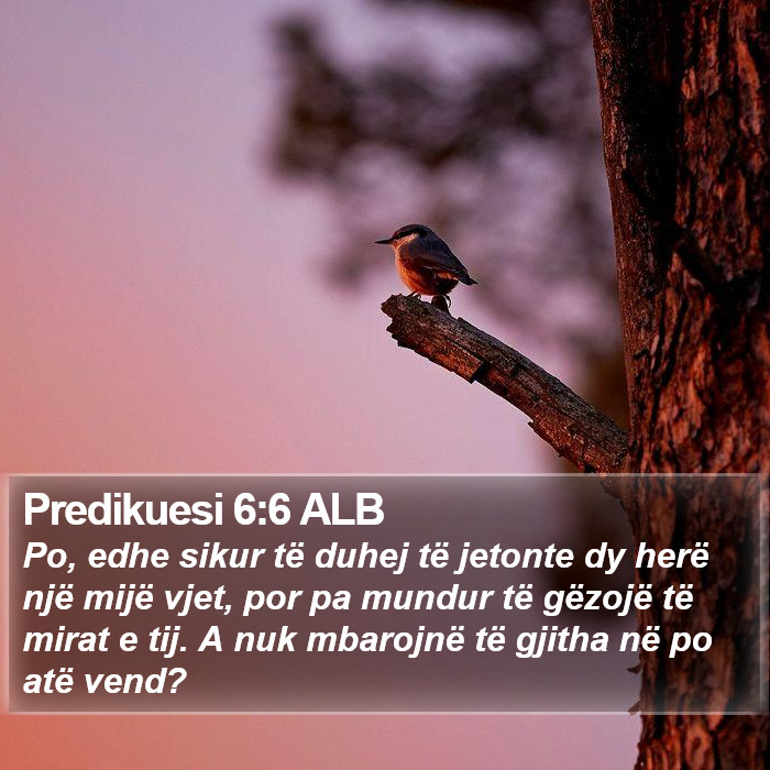 Predikuesi 6:6 ALB Bible Study