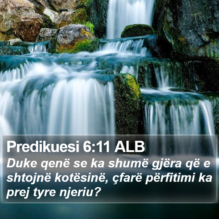 Predikuesi 6:11 ALB Bible Study