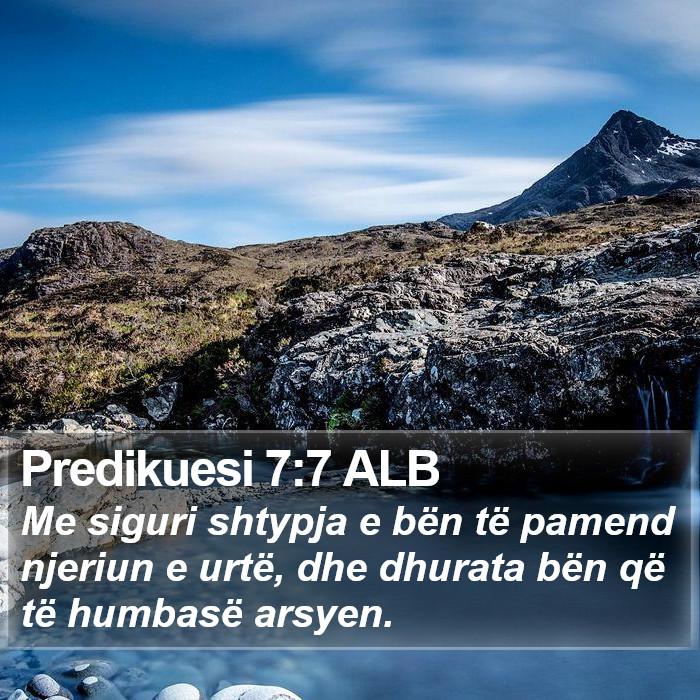 Predikuesi 7:7 ALB Bible Study