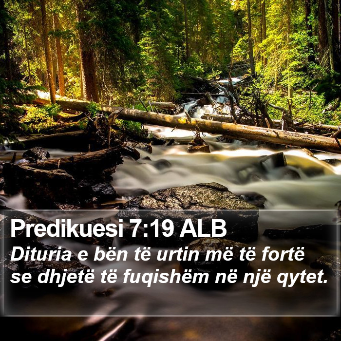 Predikuesi 7:19 ALB Bible Study