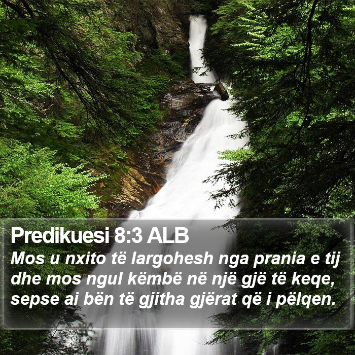 Predikuesi 8:3 ALB Bible Study