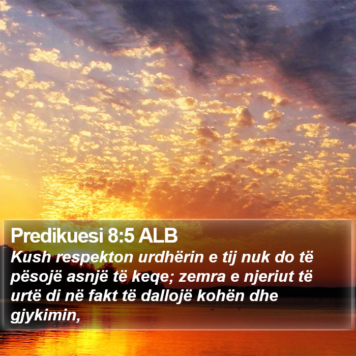 Predikuesi 8:5 ALB Bible Study